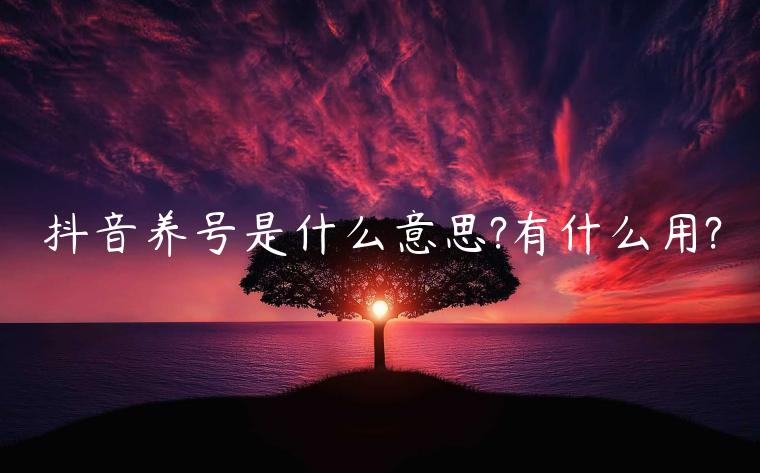 抖音養(yǎng)號是什么意思?有什么用?